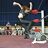 RCW: Hail to the King