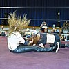 RCW: Hail to the King