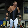 RCW: Hail to the King